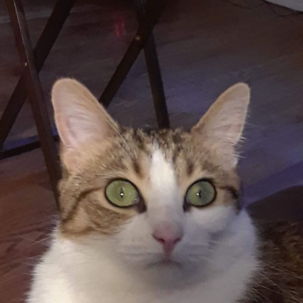 Meet your Posher, Juliette